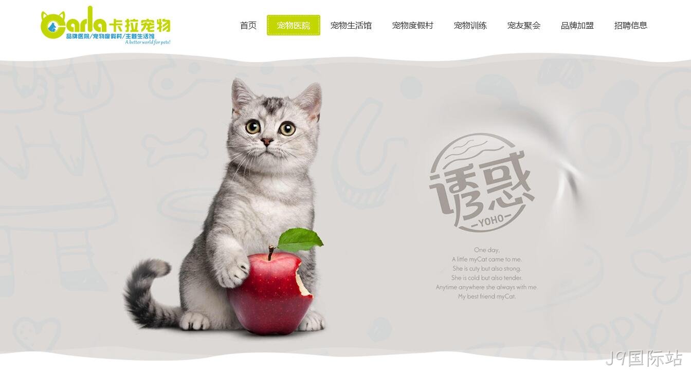 宠物网站设计